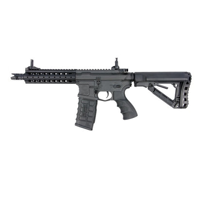 G&G CM16 FFRA2 6mm RIF Airsoft AEG